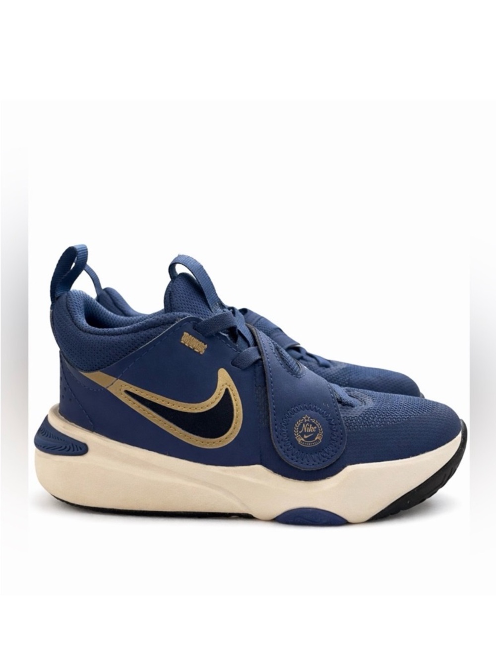 Nike Kids Team Hustle D 11 basketball shoe